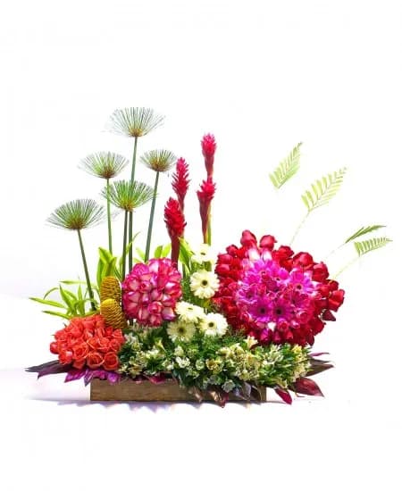 JARDIN TROPICAL EN BASE